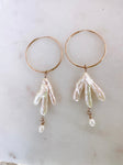 Vieques pearl hoops