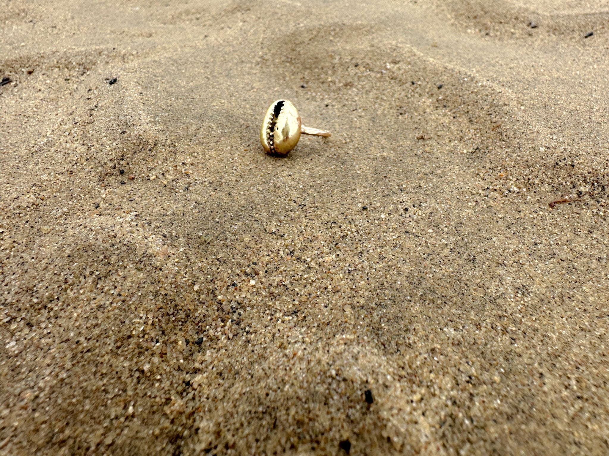 Leho shell ring