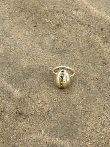 Leho shell ring