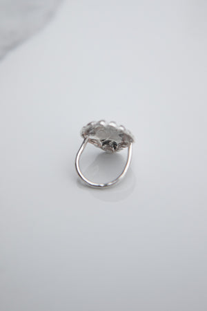 Sunrise Shell Ring
