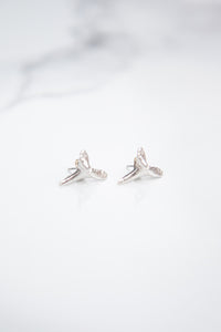 Baby Mako Shark Tooth Studs